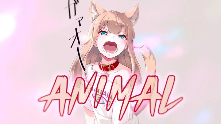 สัตว์ AMV อะนิเมะมิกซ์