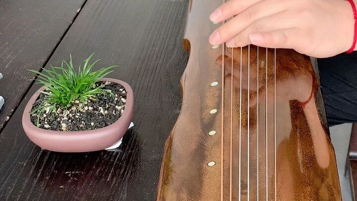 One video tells you what pieces are played at each level, from Grade 1 to Grade 10, on the guqin.