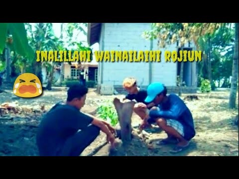 Gayeng Berduka || Film Pendek Komedi