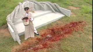 一家人为了荣华富贵，竟然让七十岁的老人挡煞（7）"港剧推荐 "风水玄学