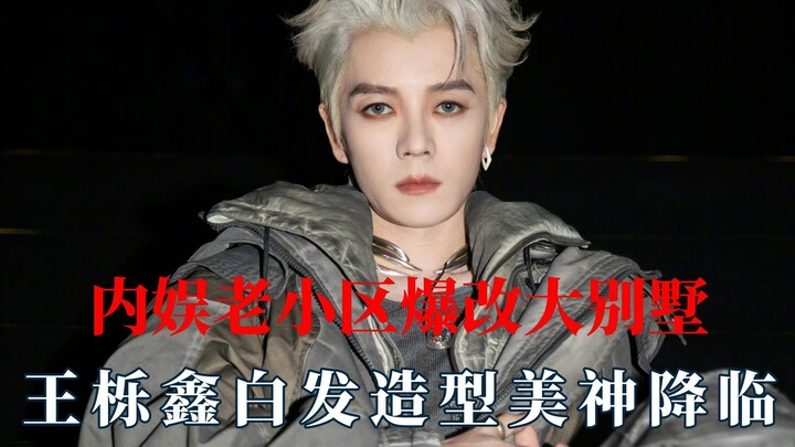 Cải tạo khu nhà cũ thành biệt thự hoành tráng, Vương Nhạc Tân tóc bạc xuất hiện như một mỹ thần!