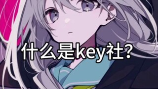 توضيح: ما هي شركة Key؟