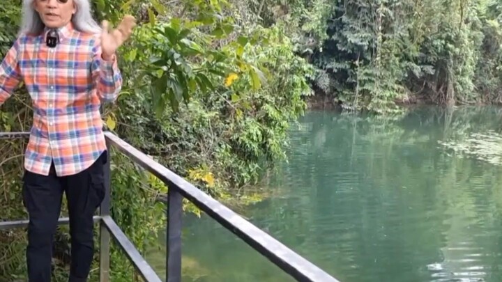 #댕 선생님은 돌아가셨고 다시는 태어나지 않으실 겁니다.