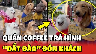 Quán coffee gây sốt vì có các "EM ĐÀO" siêu cưng ra chào khách 😍 | Yêu Lu