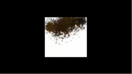 โปรดลดเสียง #มือใหม่ทำวิดีโอ