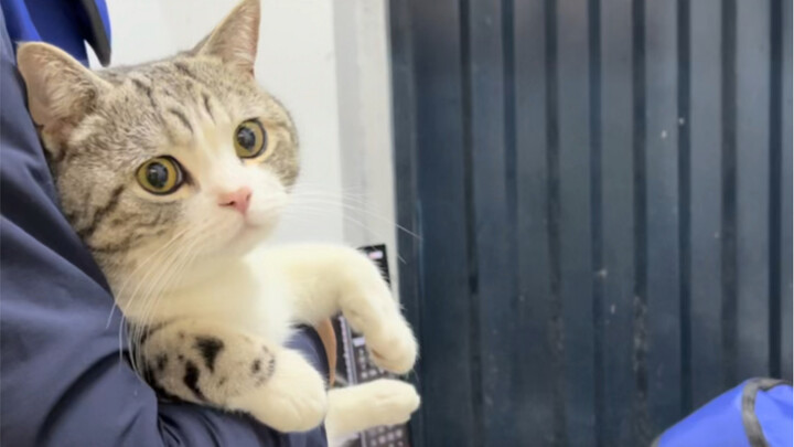 Hope nothing bad happens to Daole!