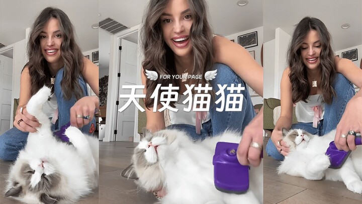 Kenapa bisa ada kucing yang manis banget kayak gini!!!