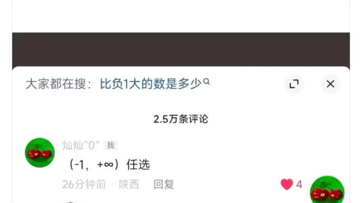 اكتب رقمًا أكبر من -1، فقال أحد المستخدمين: بالطبع -1 أكبر من -0.5!