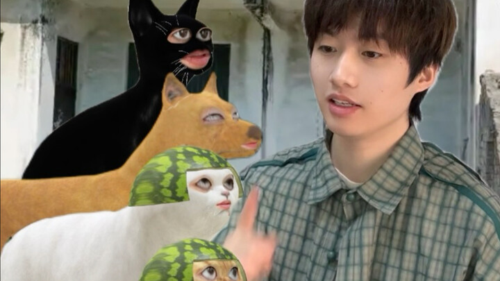 Kucing Berperan Jadi Agen Rahasia untuk Tangkap Tikus