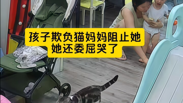 พอคุณพ่อออกโรง ไม่น่าเลย แมวก็ร้องไห้ฟ้องทันที!