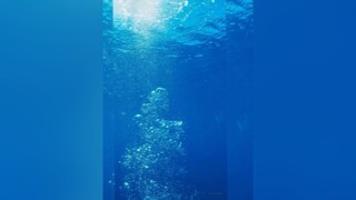 khi nhìn tấm ảnh này bạn nghĩ ngay tới ai