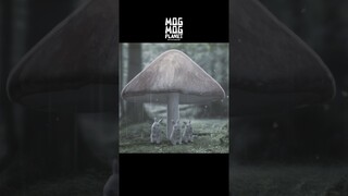 [Seriously]Helping, Being Helped, and Living - Rabbit and Mushroom, Secret of Coexistence