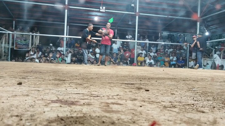 3rd fight win 4 COCK 4x winner