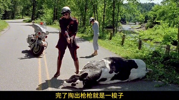 Cười bể bụng! Đây chắc chắn là bộ phim hài hước đỉnh nhất nước Mỹ, không có bộ nào sánh bằng!