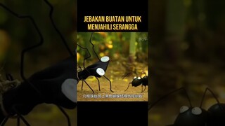 JEBAKAN BUATAN UNTUK MENJAHILI SERANGGA #alurceritaflim #film