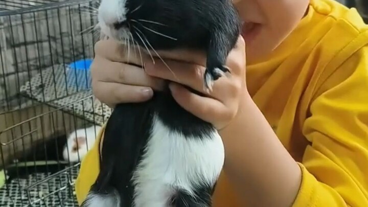 Why are these little mice so delicious?