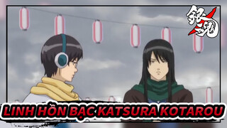 [Linh Hồn Bạc] Katsura Làm bất cứ điều gì ngoại trừ việc dẫn dắt Jouishishi-Phần 2