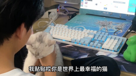 قطة تعرف كيف تلعب بلي شين!