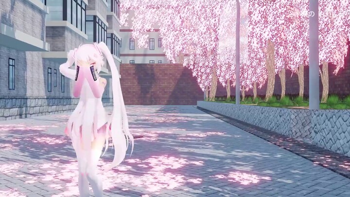 [Sakura Hatsune/Camera arrangement] Hey, do you know the color of cherry blossoms?