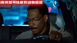 能听懂动物说话是一种什么体验