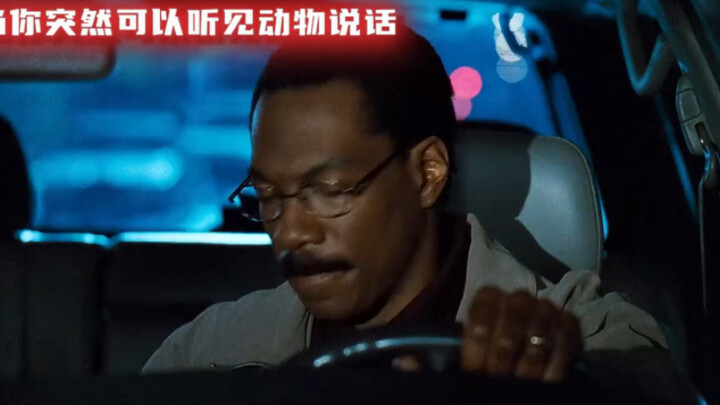 What’s it like to be able to understand what animals are saying?