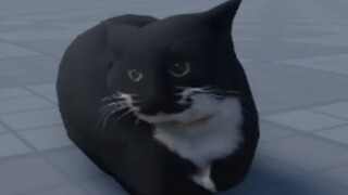 มีมที่ไม่ค่อยมีชื่อเสียงในต่างประเทศ (แมวเหม็น)