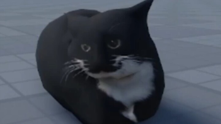 Meme không nổi tiếng ở nước ngoài (mèo hôi)