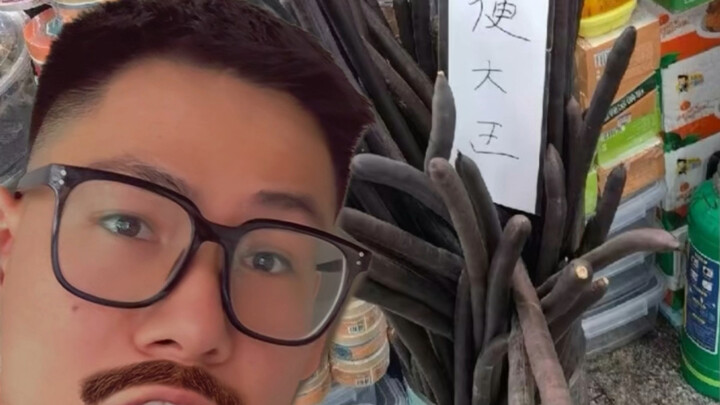 Xinjiang Adasi: Restaurant Name Analysis – Episode 5