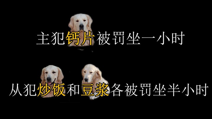 What bad intentions could a Golden Retriever have? It just wants to duo with you!