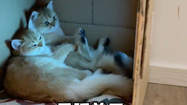 Ini kok sepadat ini sih?