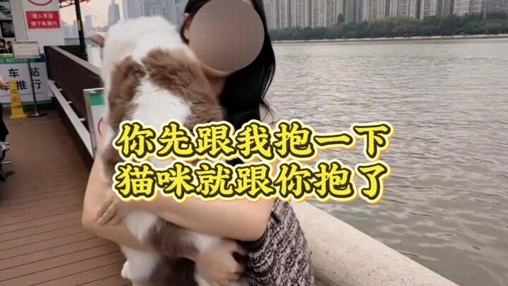รู้สึกไหมว่าก่อนหน้านี้เลี้ยงแมวเหมือนเลี้ยงแบบมั่วๆ