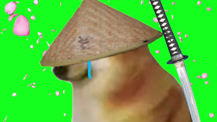 Thank you, Cheems green-screen footage—four versions: Cherry Blossom Rush plus a teary‑eyes effect.