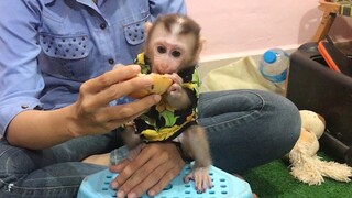 5 Time for some pomagranate for Mino