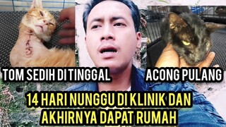 Mengharukan Kucing Liar Matanya Rusak Clamydia Par 3 Sudah Pulang Dari Klinik Dan Dapat Rumah..!