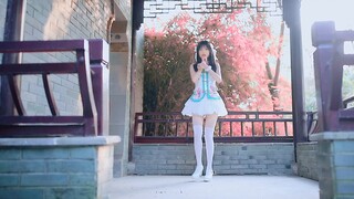 【Lovesickness】How to relieve sorrow? ❀Falling Flower Love❀
