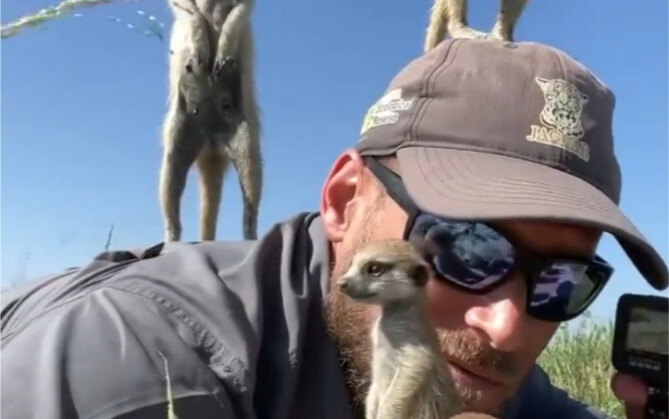 "To see a thousand miles further, climb one more story."