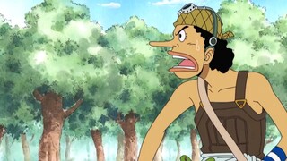 One  Piece Funny Moments