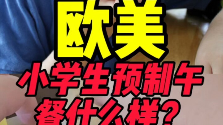 เด็กประถมในยุโรปและอเมริกากินอะไรเป็นมื้อกลางวันสำเร็จรูป?