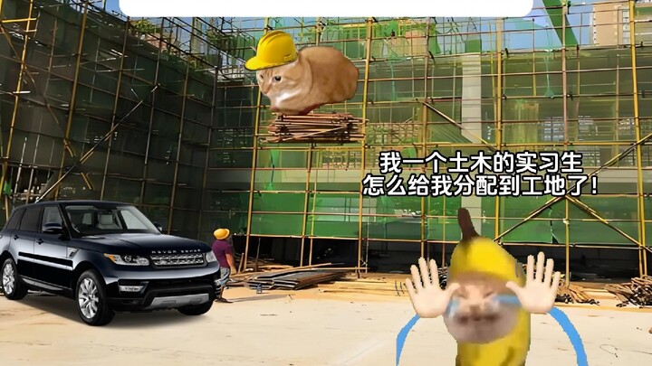 Irreplaceable: That Original Nostalgia