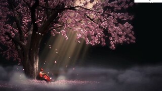 Những Bản Nhạc Không Lời Hay Nhất Trên Tik Tok 7
