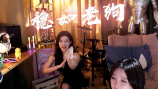 【豚子姐】叶问蹲