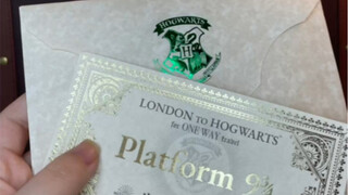 The Harry Potter collaboration mooncakes didn't taste magical at all.
