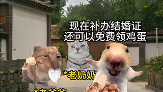 Just tell me, has the marriage rate gone up?