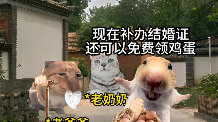 你就说这结婚率上去了没