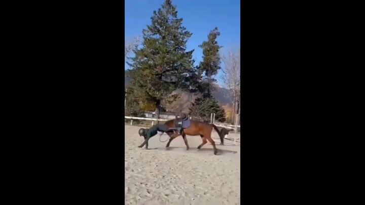 Video đẹp nhất phải mất đến 78 năm mới tìm được