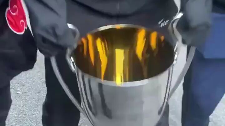 Vitality HQ in France has been raided by protesters and are seen holding their CS2 trophies