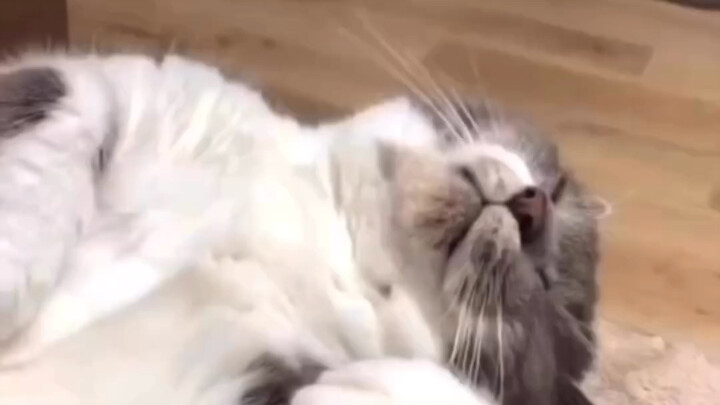 When You Dream About Work on Your Day Off