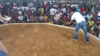 1st Fight CCA PINTAKASI 2023 3cock Derby