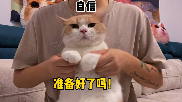 If you’ve got a cat, learn this quick! If you don’t, get one right away! Hahaha