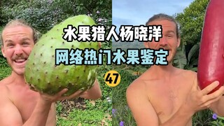 [Fruit Hunter x Hunter] Online Popular Fruit Identification 47